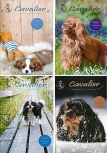 pieni_lehtikannet2015-x4